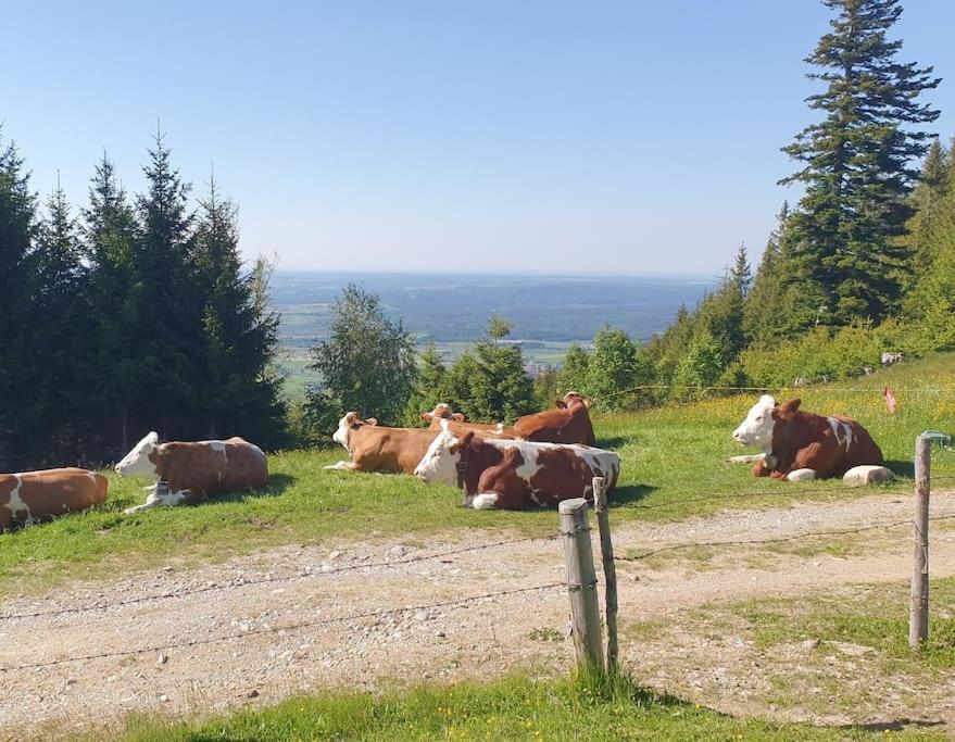 Romantisches Alpenchalet - Mit Sauna Und Kamin - Ruhig Und Zentral Bad Tölz Exteriör bild